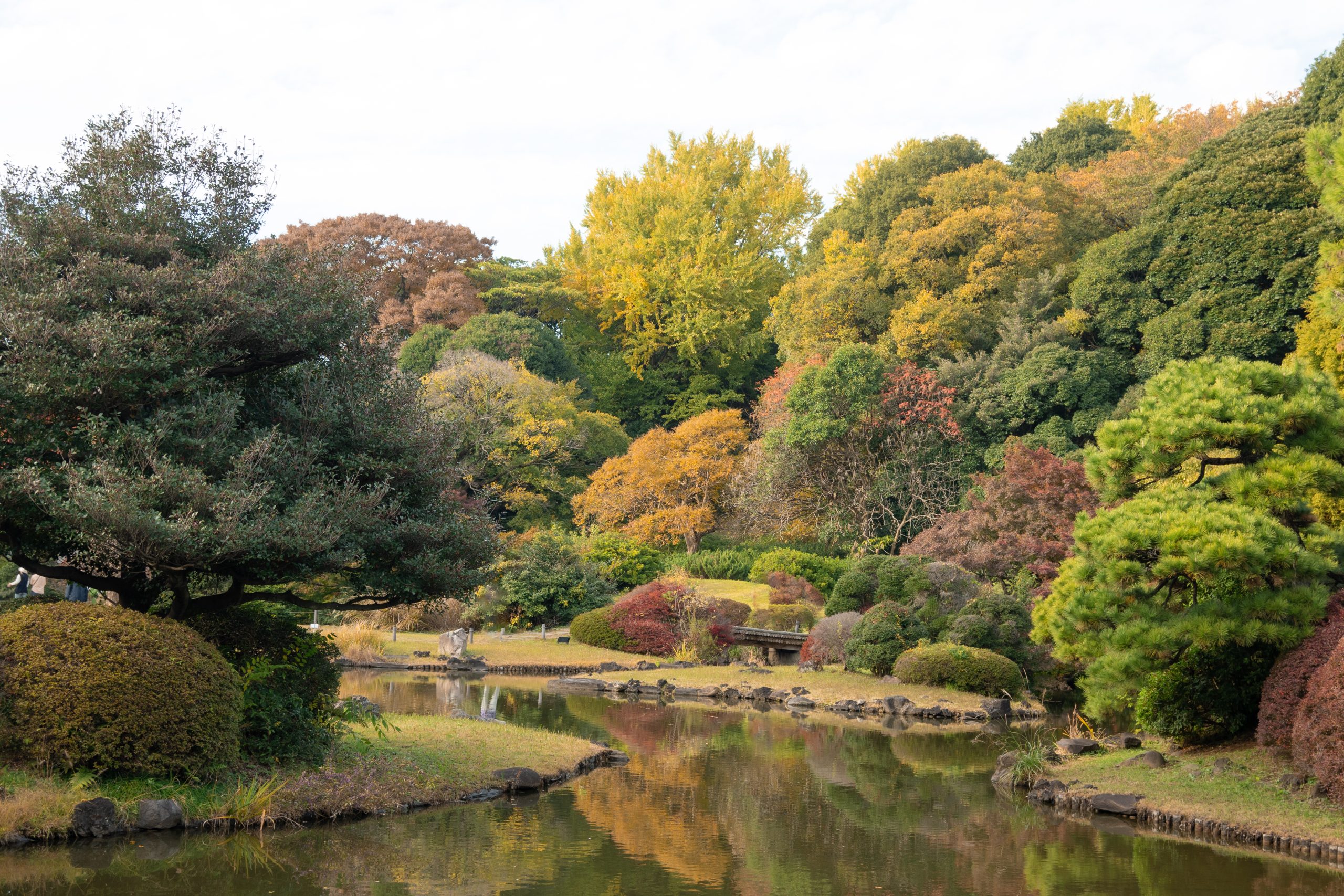 Tokyo Garden - Japan