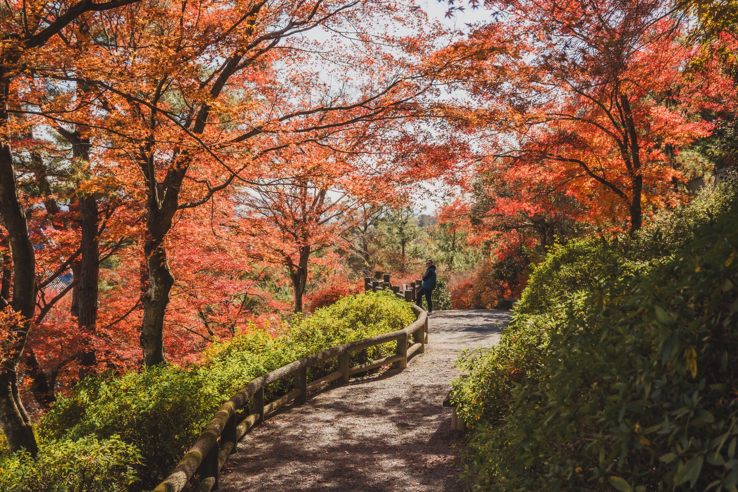 Reizen Japan