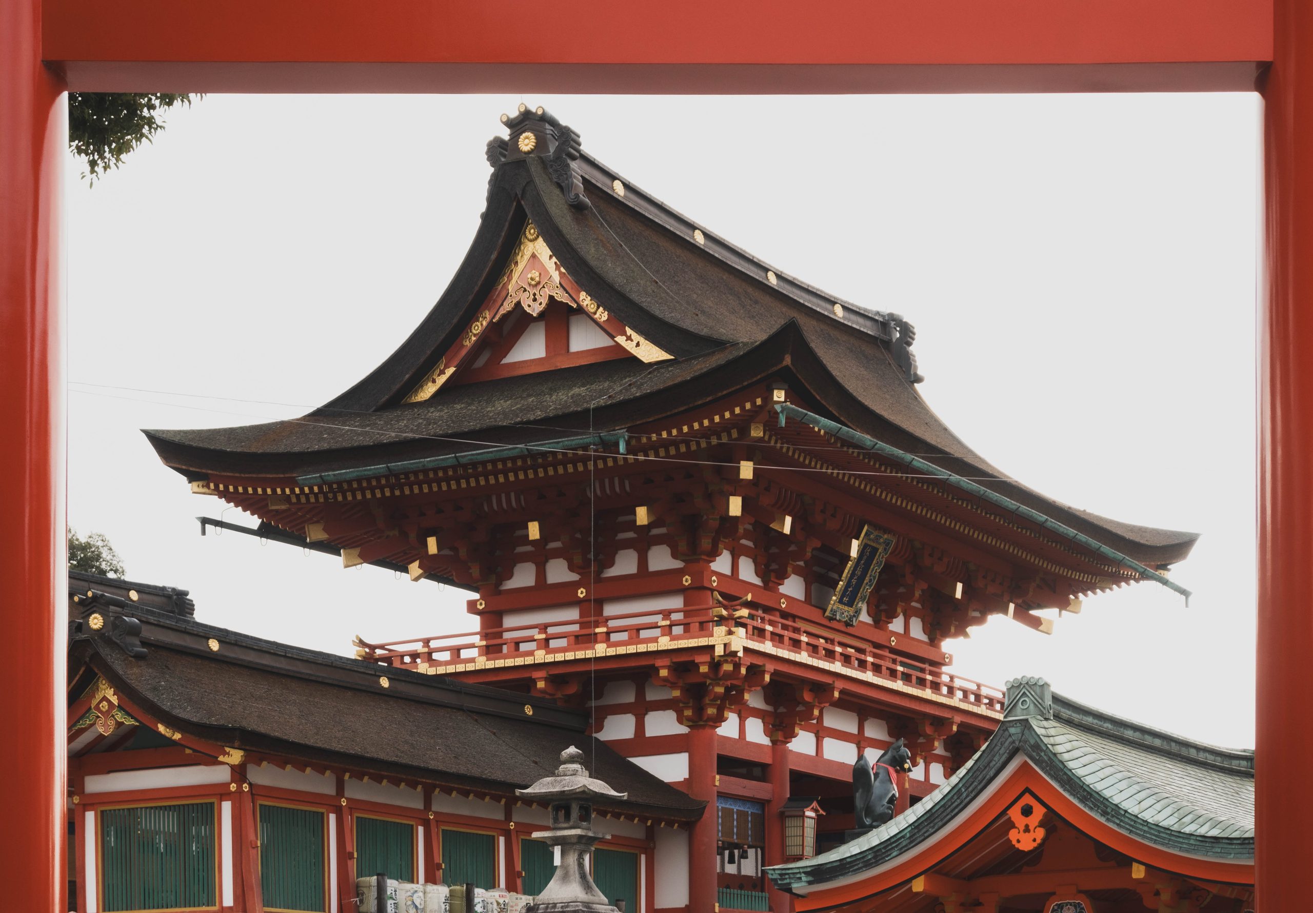 Citytrip Kyoto: Stedentrip Japan
