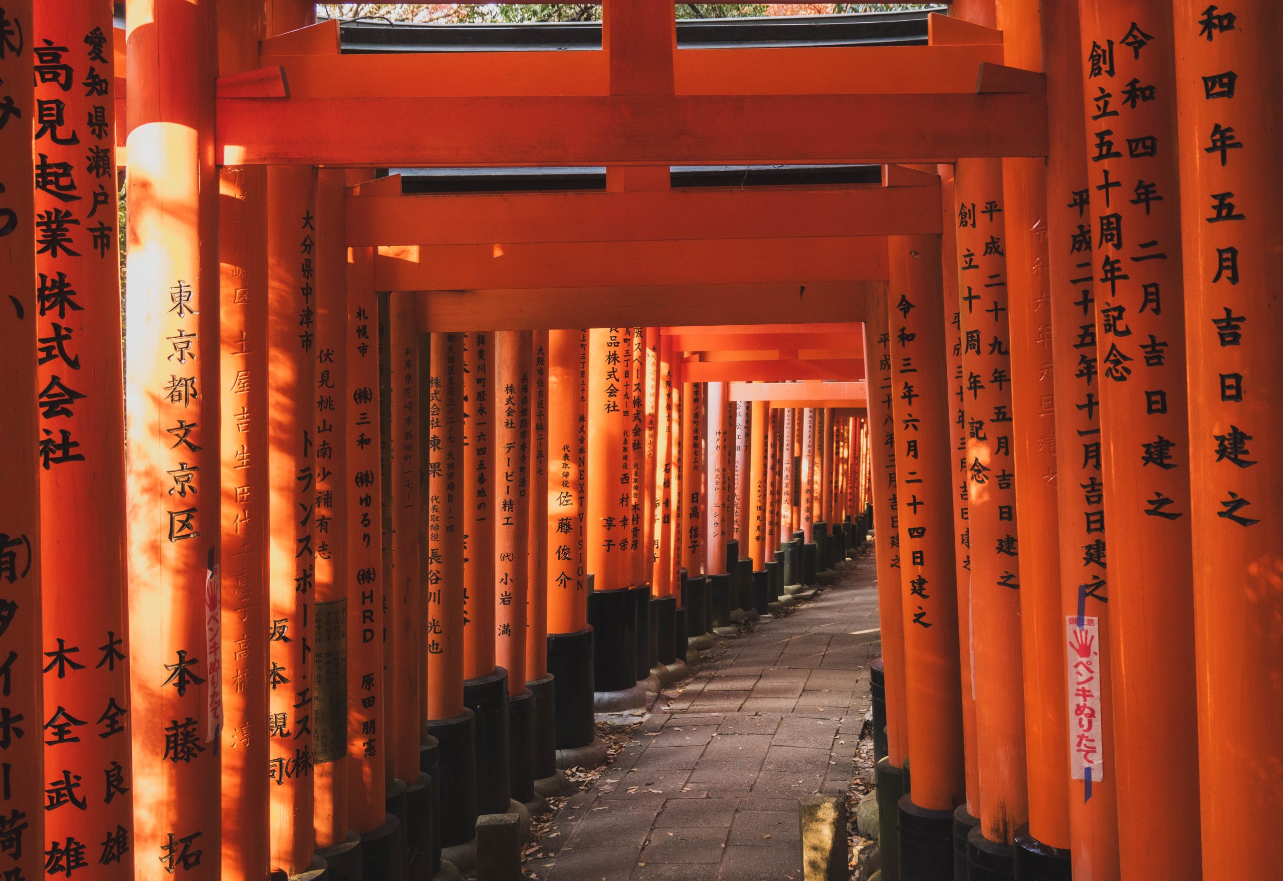 Citytrip Kyoto: Stedentrip Japan