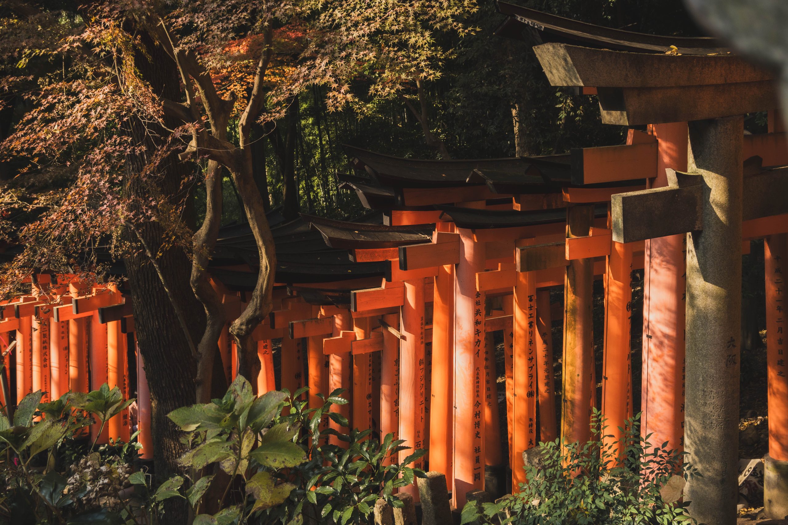 vermijd drukte in Kyoto
