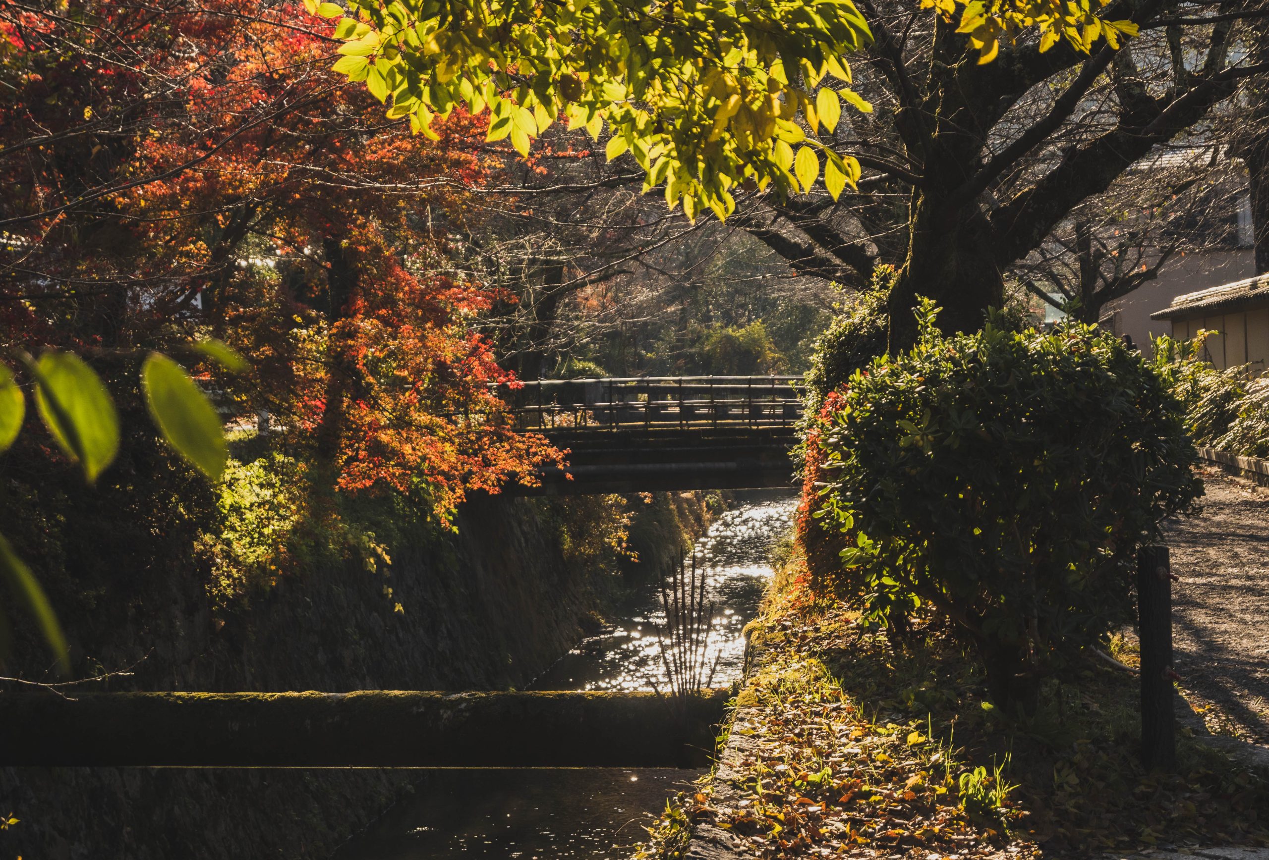 vermijd de drukte in Kyoto