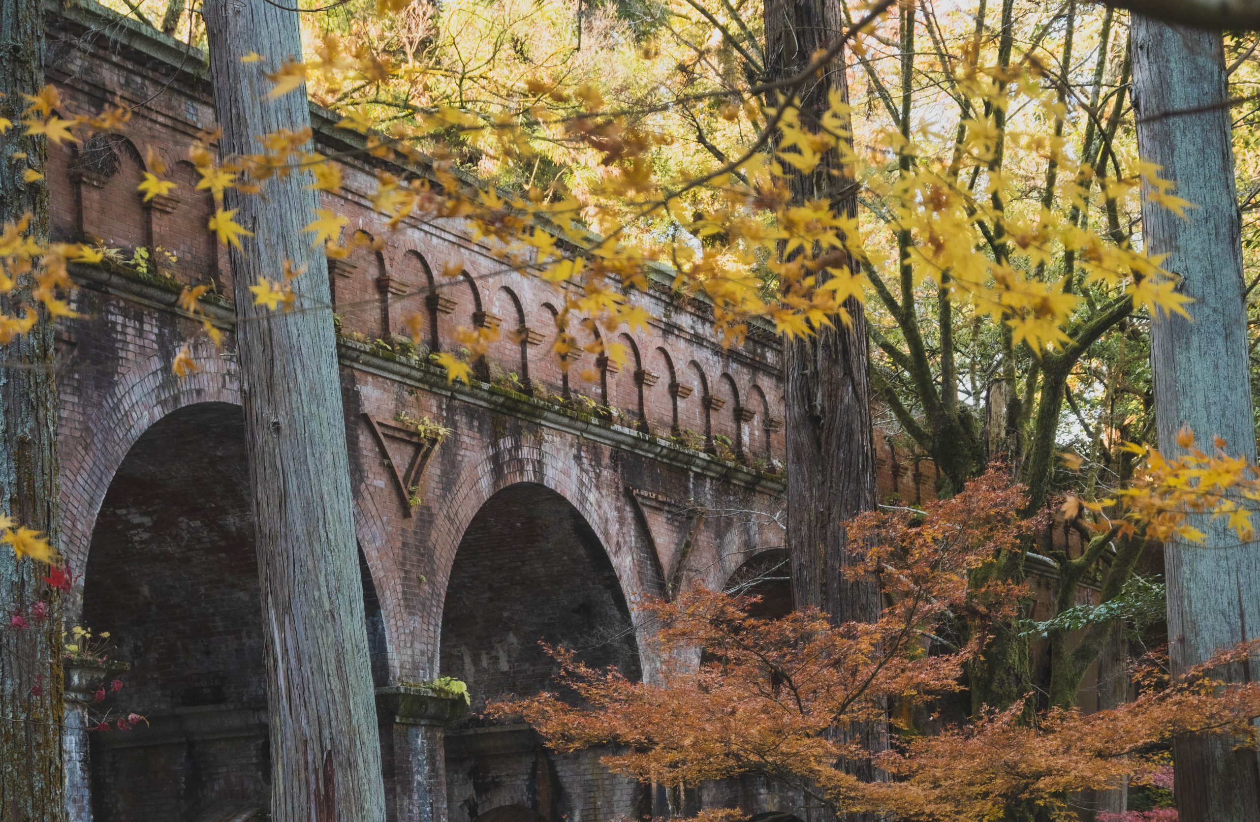 Kyoto Philosophers Trail