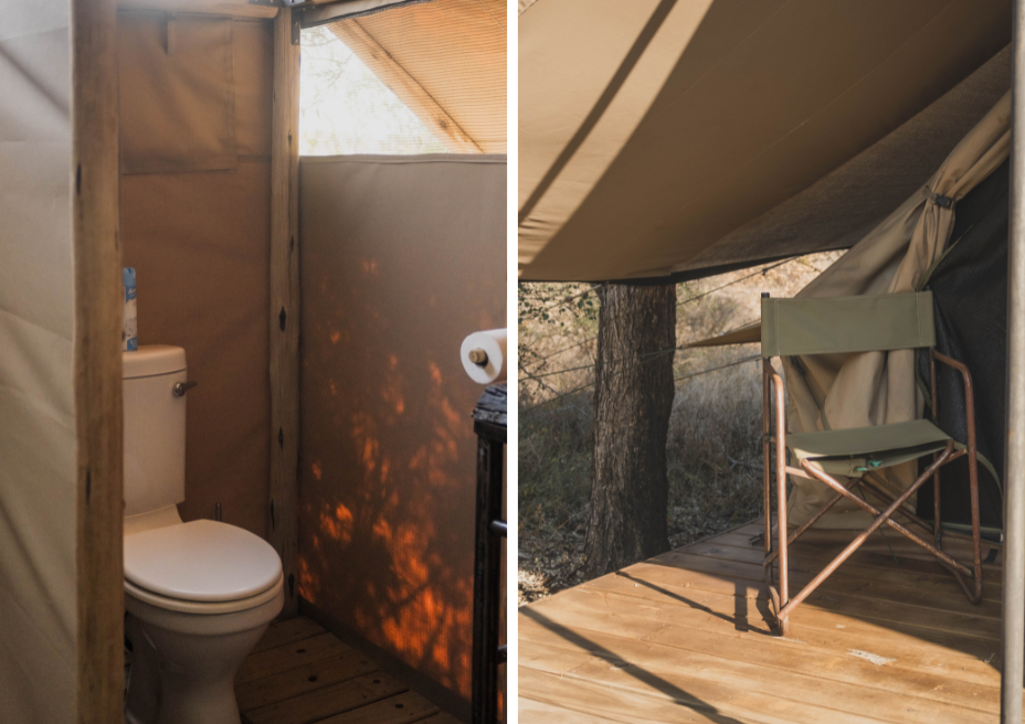 safari tent