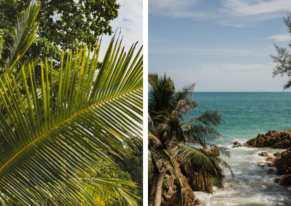 Diary of a solo traveler