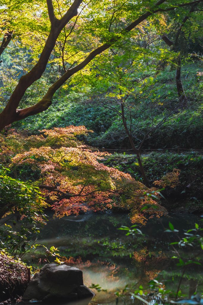 Parken in Tokyo