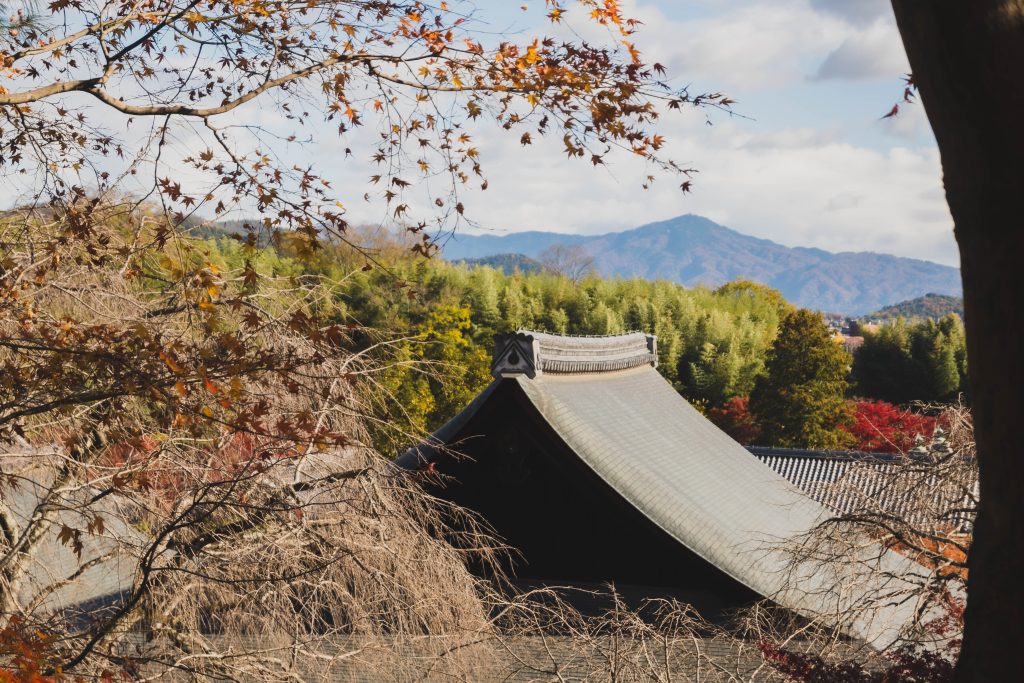 Adventures in Japan