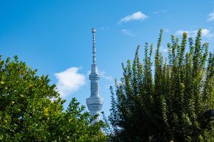 Een bezoek aan Tokyo