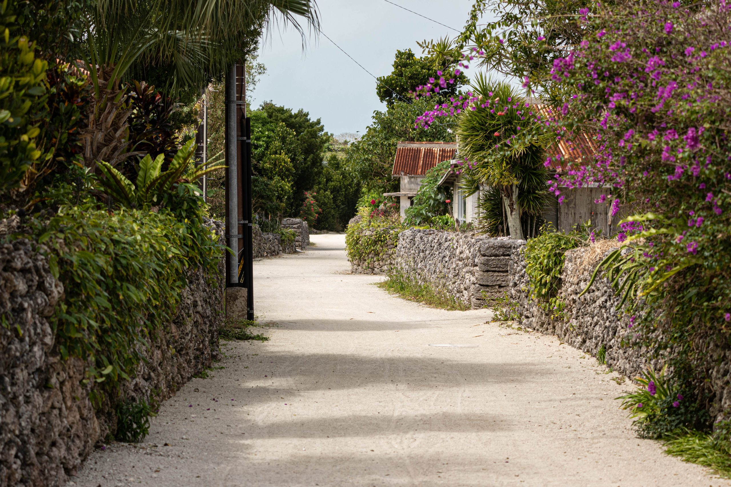 Lees meer over het artikel Eilandhoppen in Okinawa: Mijn reiservaring op Ishigaki, Taketomi & Kohama